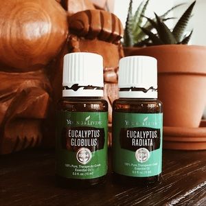 Young Living Eucalyptus Essential Oil